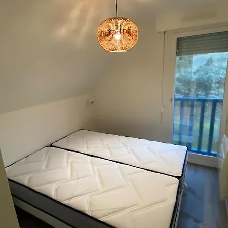 Nouveau ! Dans Arboree Pinwood *