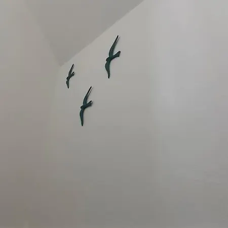 Nouveau ! Dans Résidence Arborée Pinwood * Neufchâtel-Hardelot