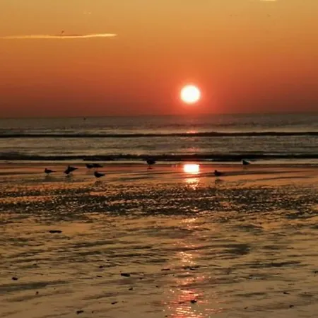 Nouveau ! Dans Résidence Arborée Pinwood