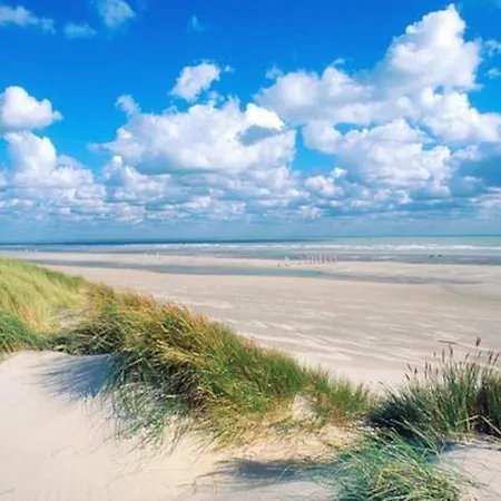 Nouveau ! Dans Résidence Arborée Pinwood Сasa de vacaciones