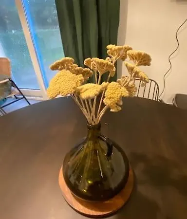 Nouveau ! Dans Résidence Arborée Pinwood * Neufchâtel-Hardelot